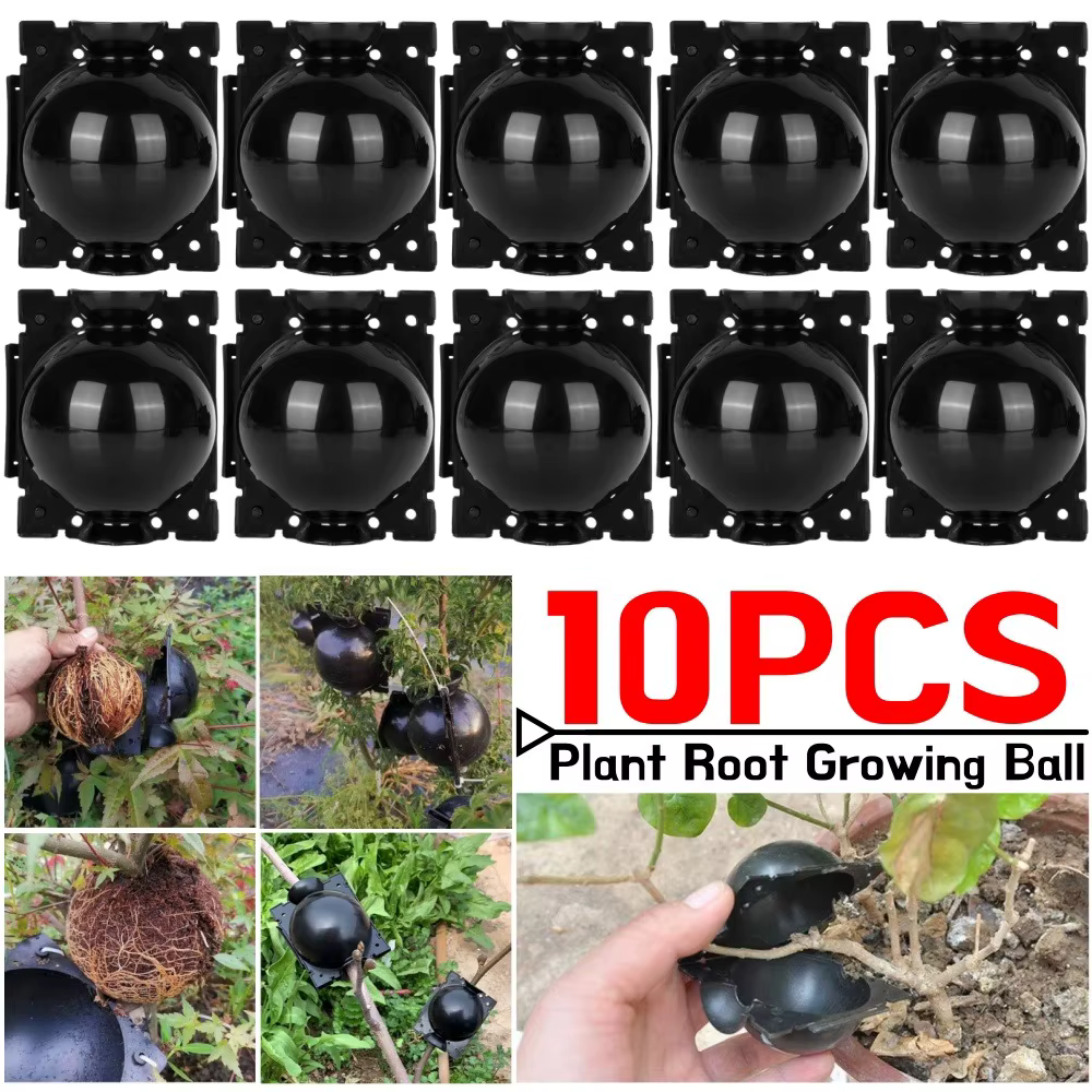 Boule de culture de racines de plantes réutilisables