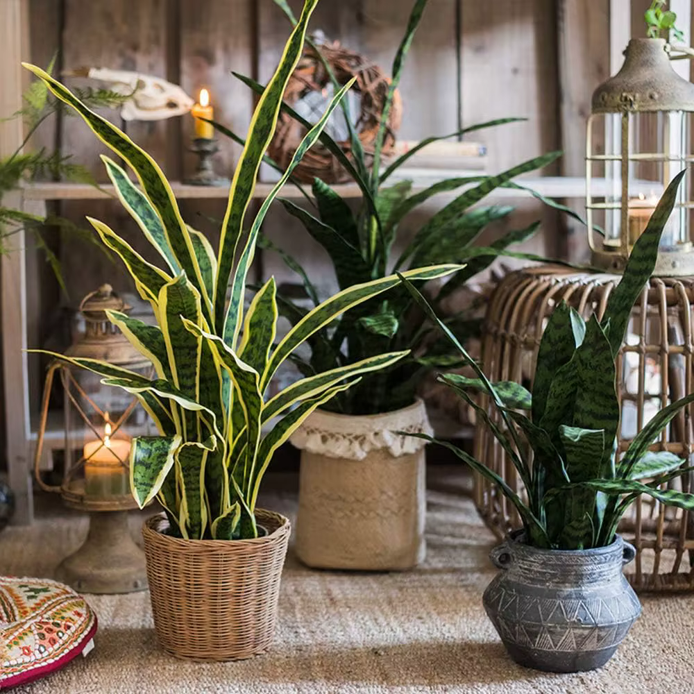 Plante serpent artificielle
