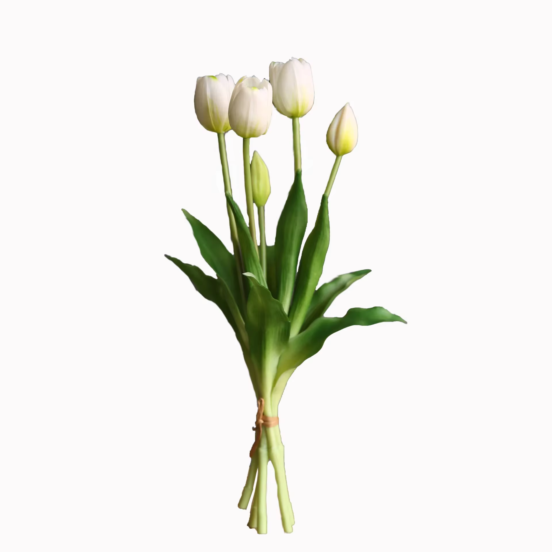 Bouquet de tulipes à cinq têtes hydratantes de haute qualité