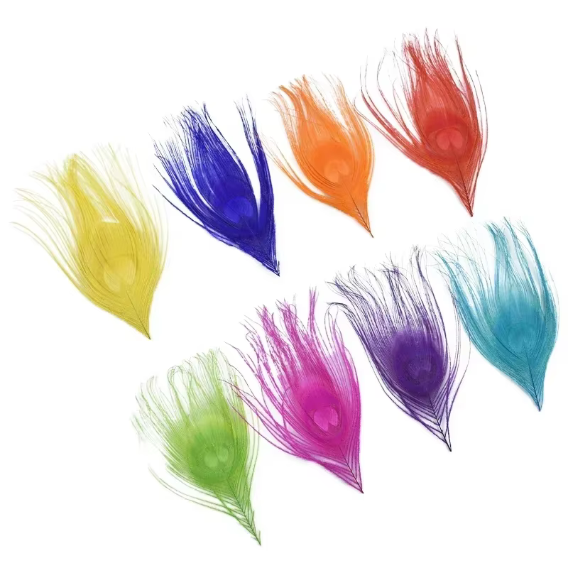 Lot de 10 Plumes de Paon Colorées 10-15CM