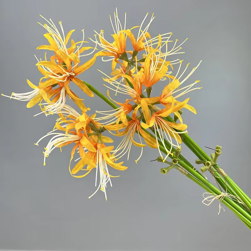 Simulation de fleurs de rivage artificielles