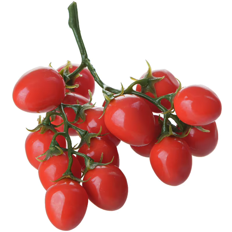 Tomag Artificiel Faux Fruit