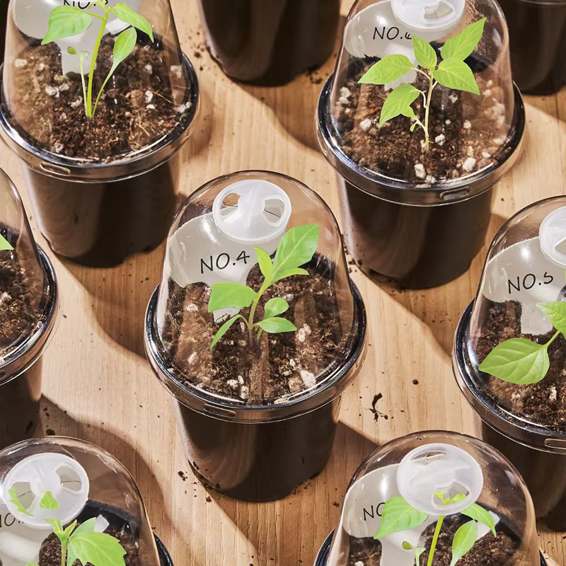 Pots de pépinière, pots à fleurs