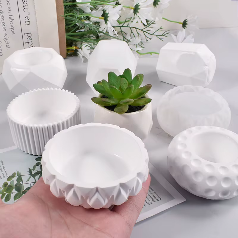 Pot de fleur succulente en Pot