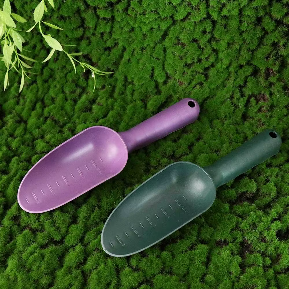 Outil de jardinage en plastique pour plantes succulentes