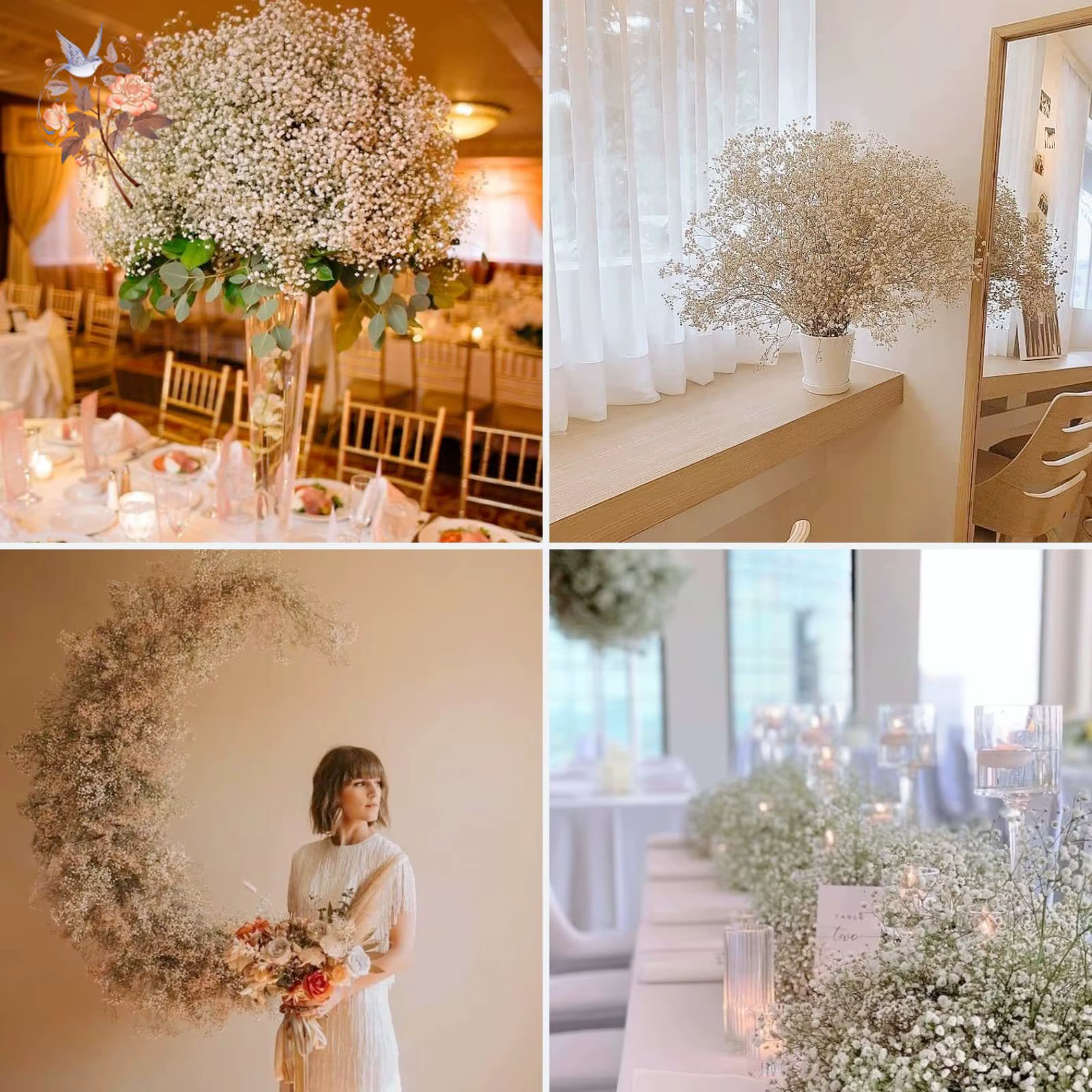 Bouquet de fleurs séchées pour bébé