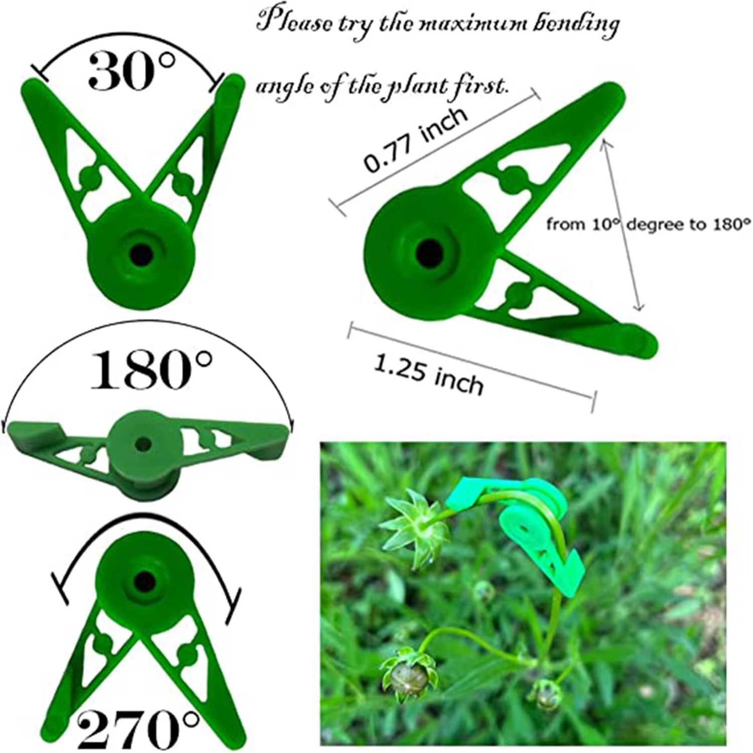 Clips d'entraînement de cintreuse de Branches de plantes