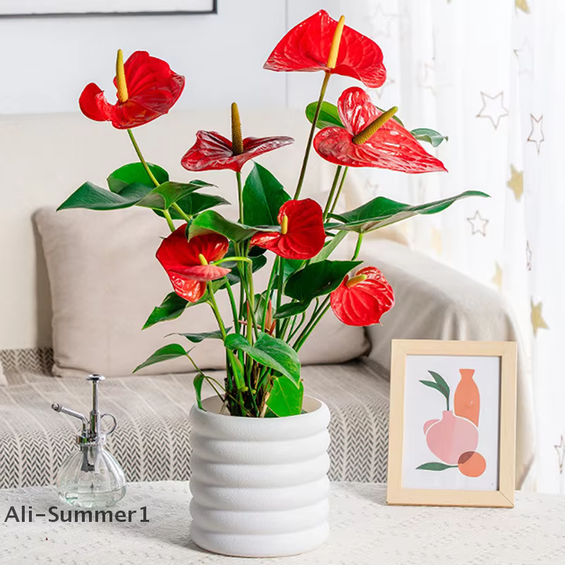 Pot de fleur en plastique semblable à une porcelaine