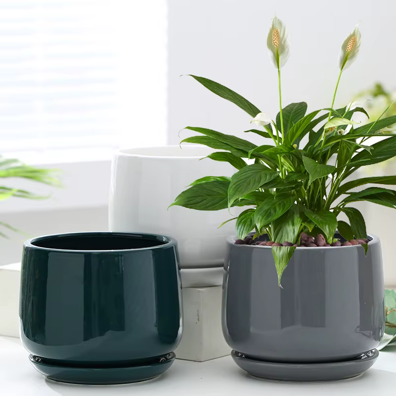 Pot de fleurs créatif en céramique