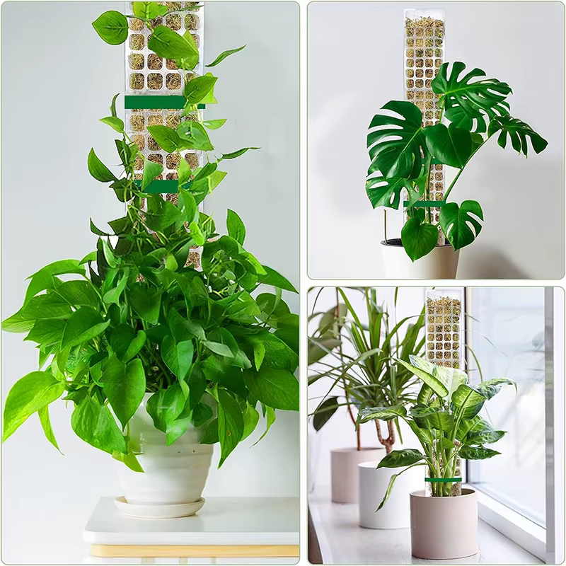 Support de Plantes en Plastique pour Plantes Grimpantes d'Intérieur