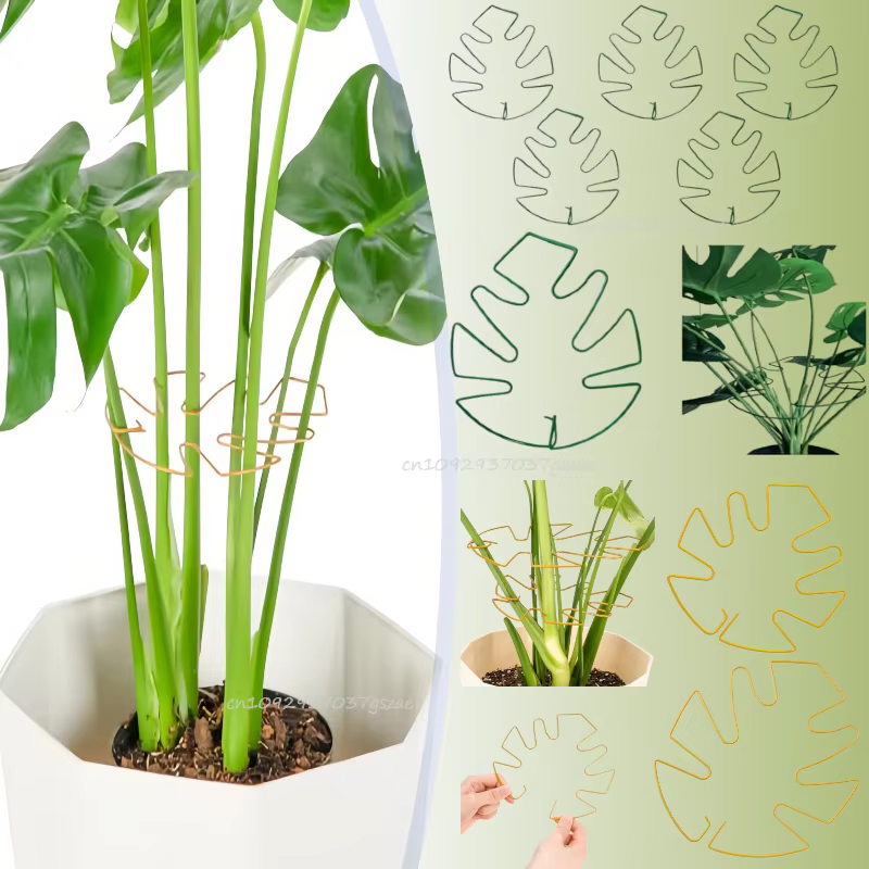 Supports de plantes réglables en métal pour tutorer les plantes