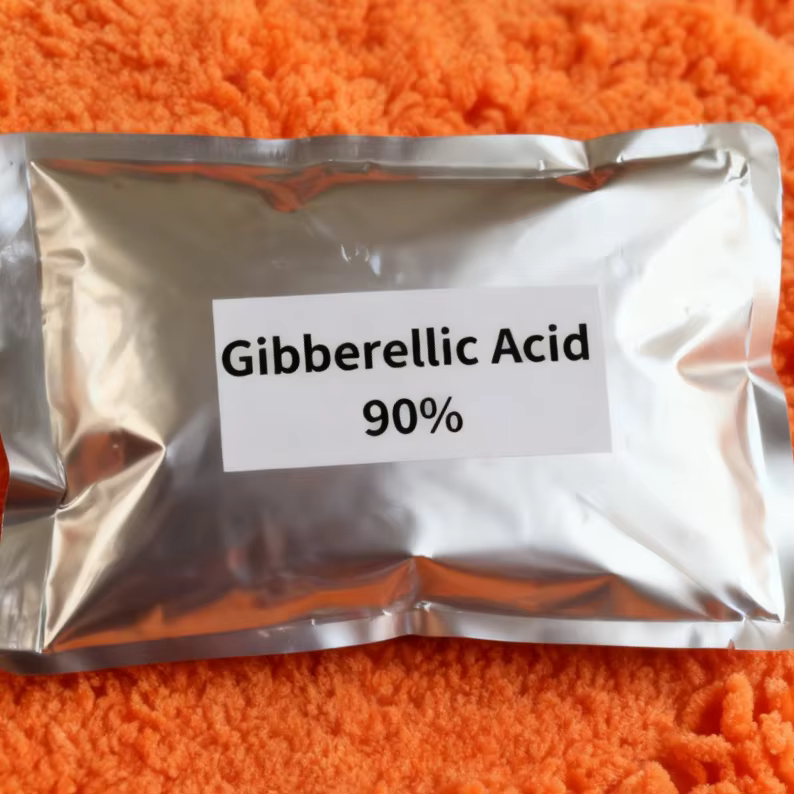 Chaud PGR Super plante grandir engrais Gibberellic Gibberellin acide GA3 90% à vendre