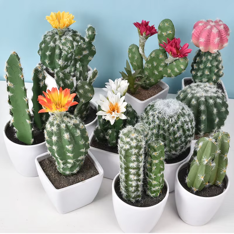 Cactus artificiel en pot plante verte Simulation succulente en pot fausses plantes