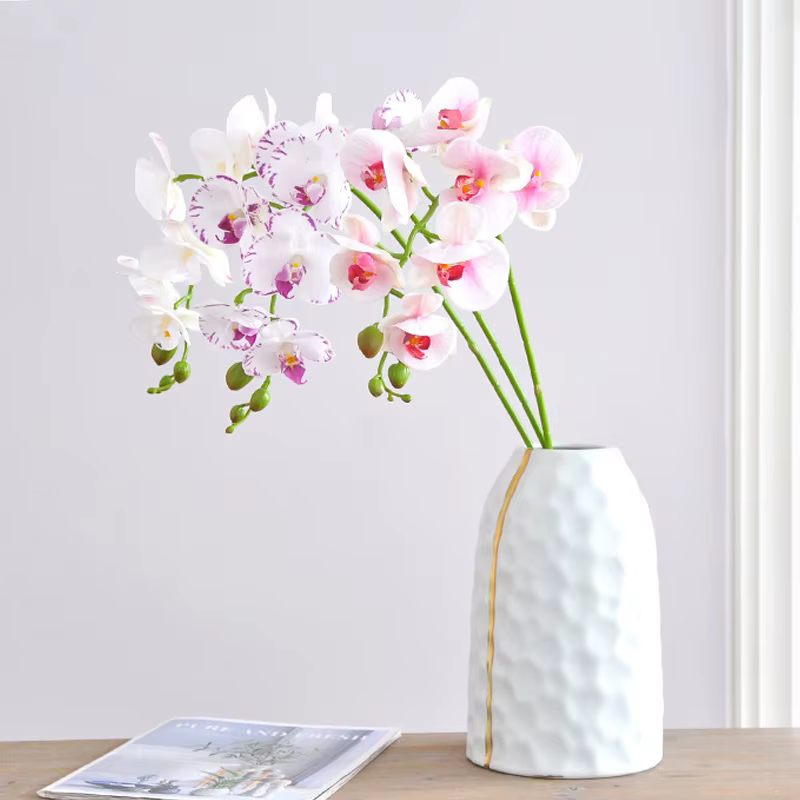 Branche d'orchidée hydratante