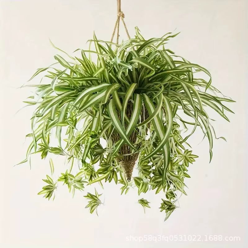 Plantes artificielles murales suspendues