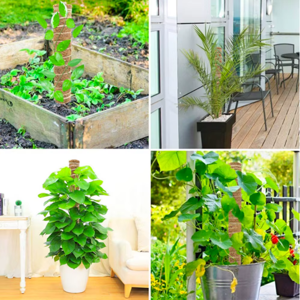 Poteau d'escalade pour plantes