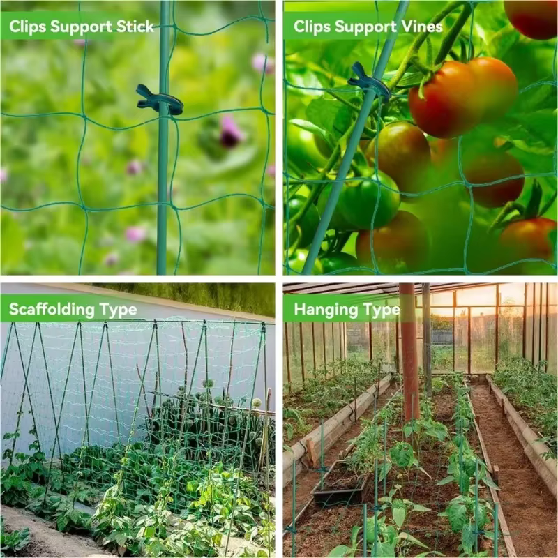 Filet d'escalade pour plantes de jardin