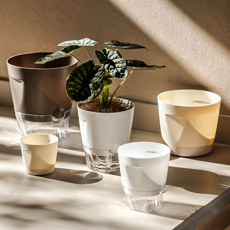 Nouveaux pots auto-arrosants pour plantes d'intérieur