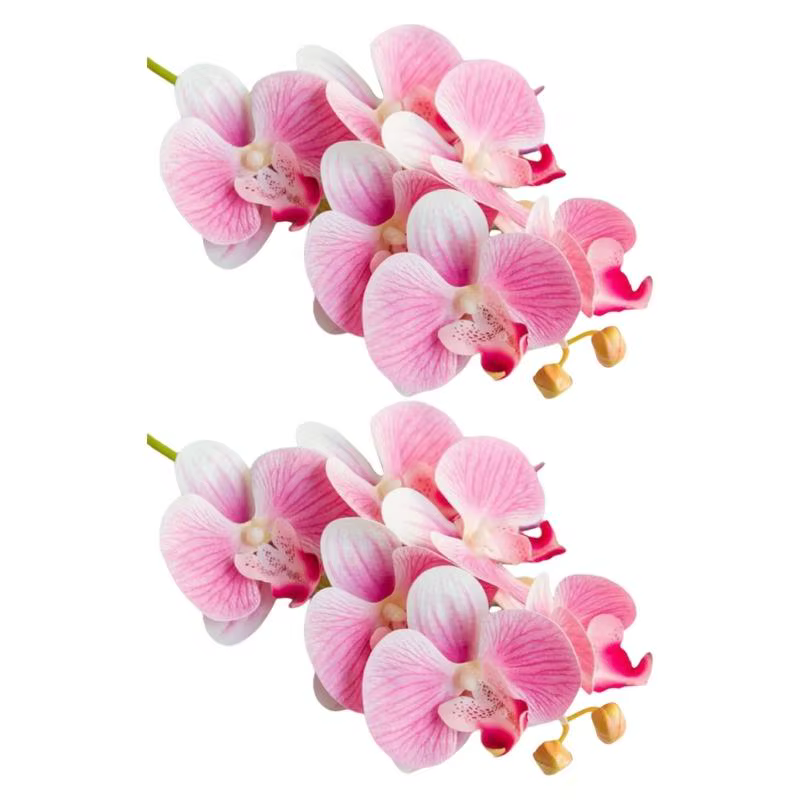 E8BD – lot 2 fleurs d'orchidées papillon