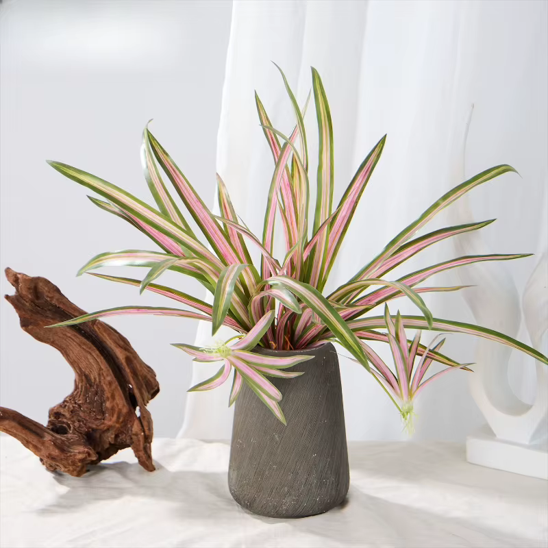 Lot de 5 plantes artificielles Chlorophytum Comosum en plastique pour mariage