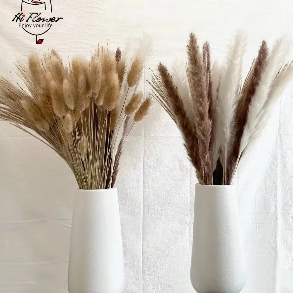 Bouquet de fleurs séchées de Pampas moelleuses