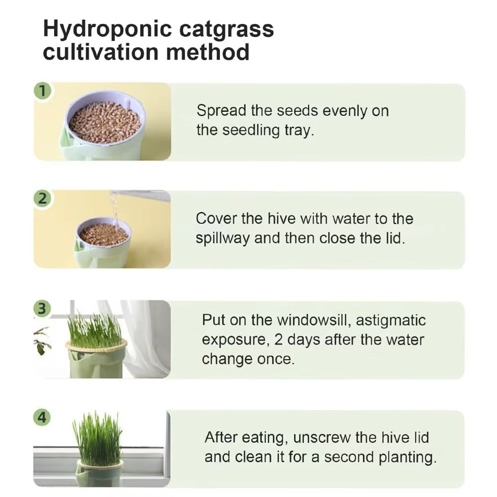 Boîte de plantation d'herbe à chat hydroponique réutilisable