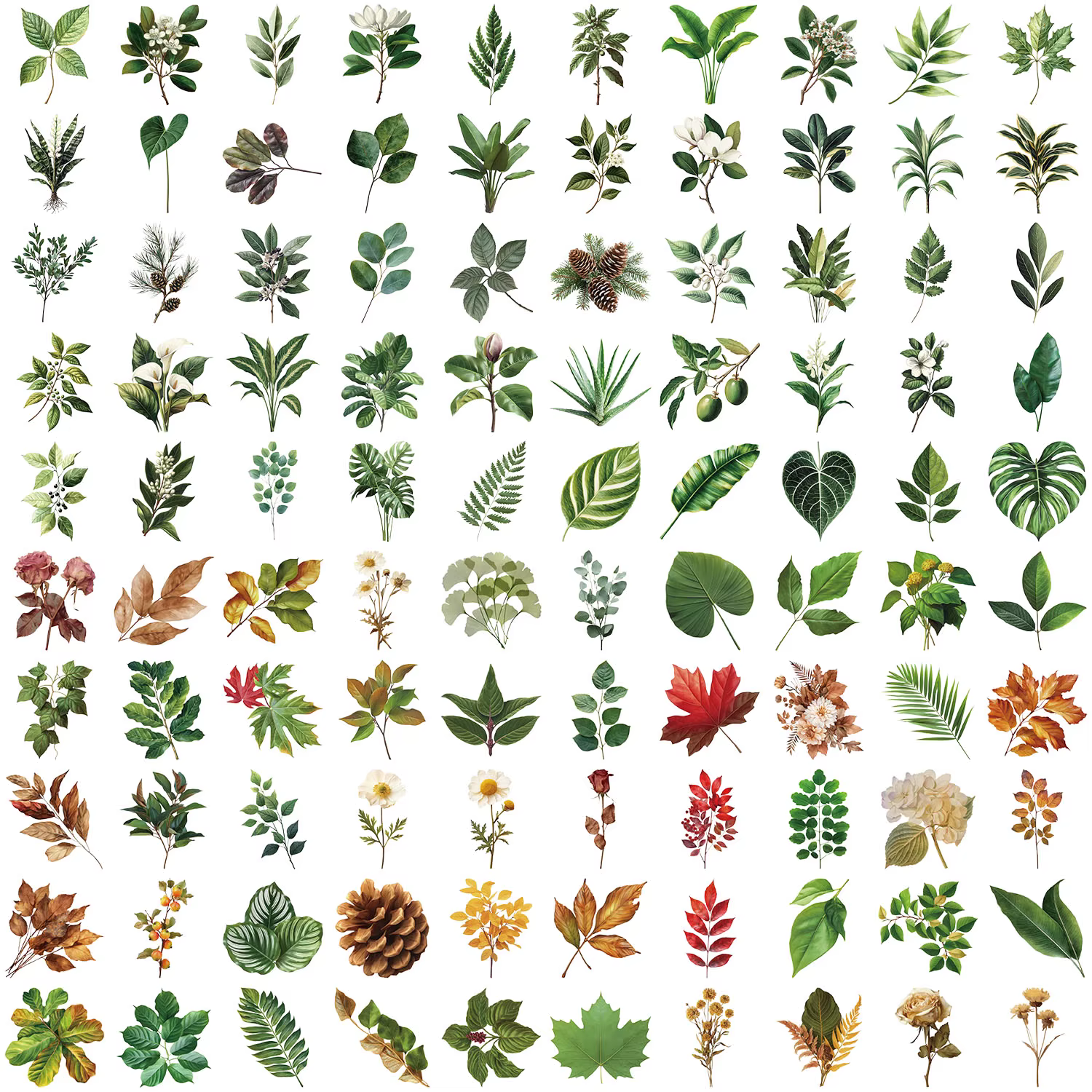 Autocollants Graffiti feuilles de plantes
