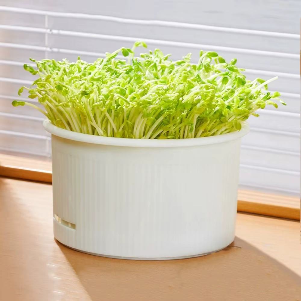 Pots de pépinière en plastique pour germes de haricots