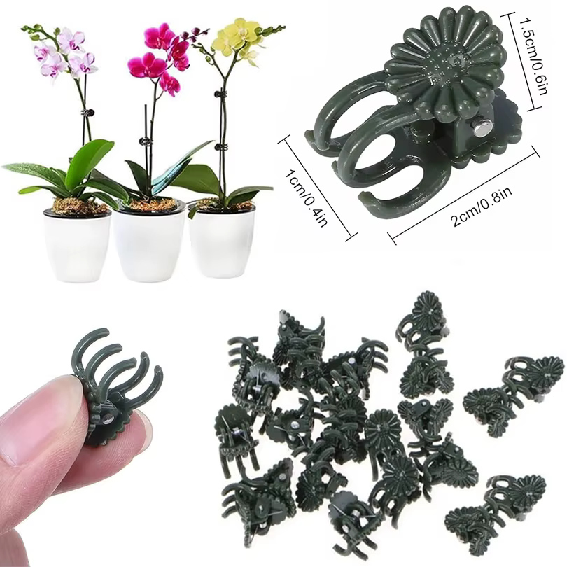 10/50/100 PIÈCES Pinces de Soutien Végétales Vert Foncé à 6 Griffes pour Orchidées