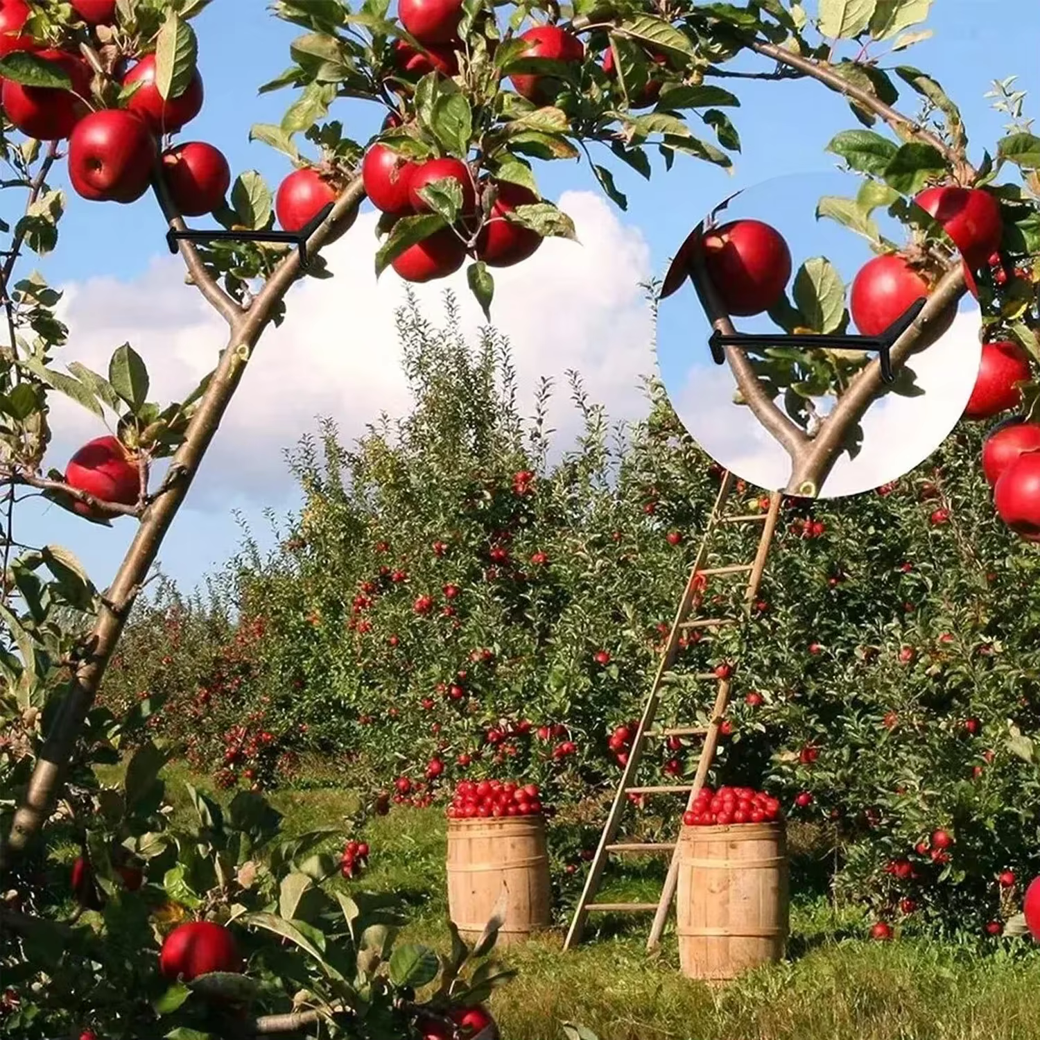 Épandeur d'arbres à branches