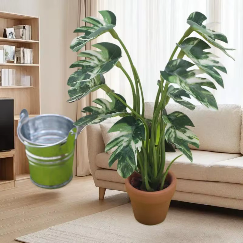 Plante Monstera Miniature délicate pour maison de poupée 1/12