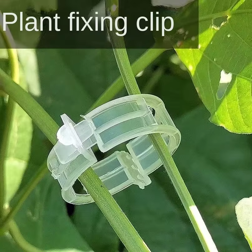 Clips de Soutien Réutilisables en Plastique pour Plantes