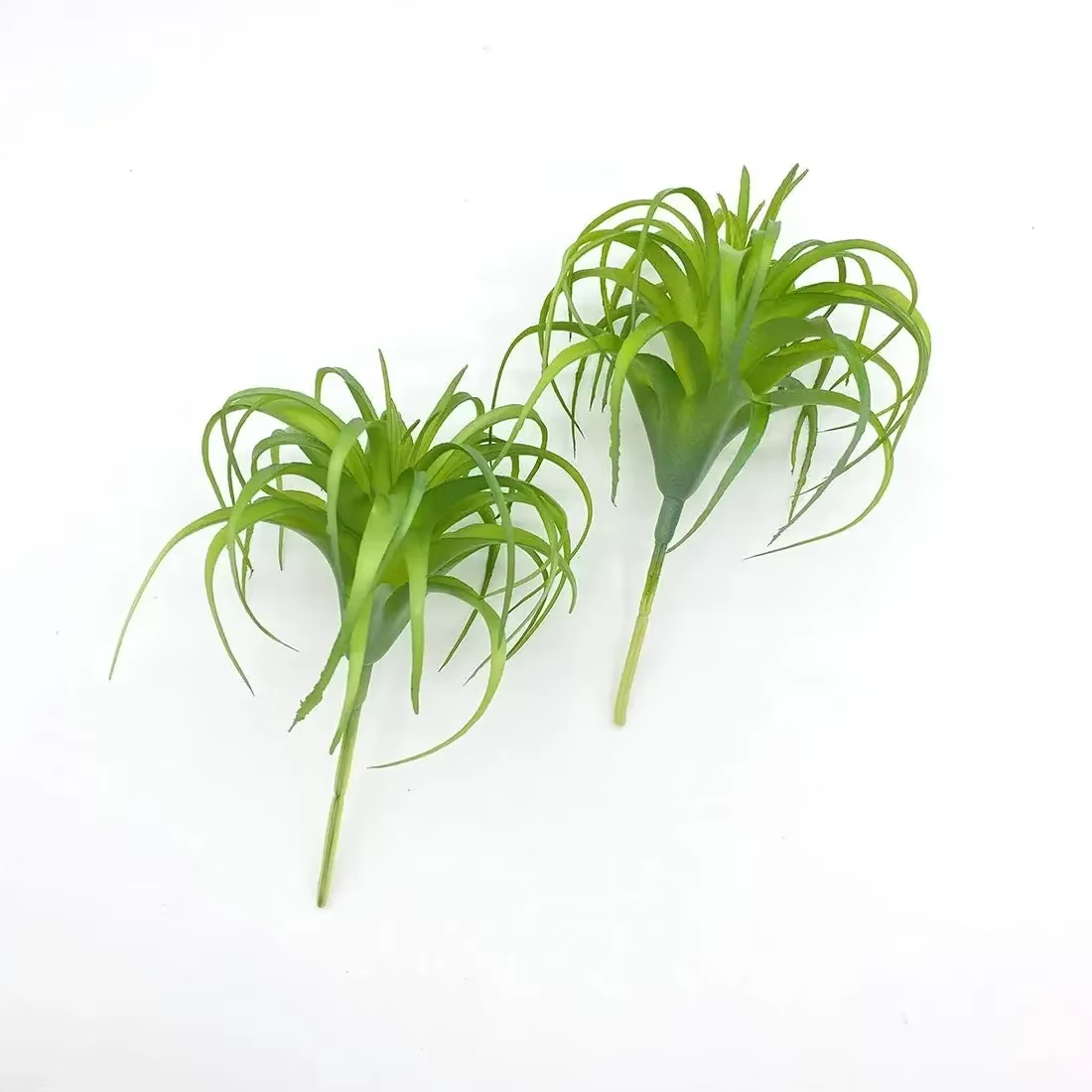 Paquet de 4 plantes artificielles à Air Faux herbe Tillandsia Bromeliads pour la décoration intérieure Terrarium projet verdure