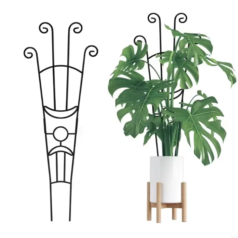 Structure Support plante en fer anti-oxydation