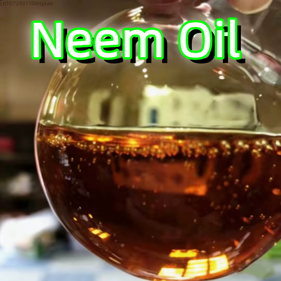 Pot-pourri aromatique aux huiles essentielles biologiques d'armoise