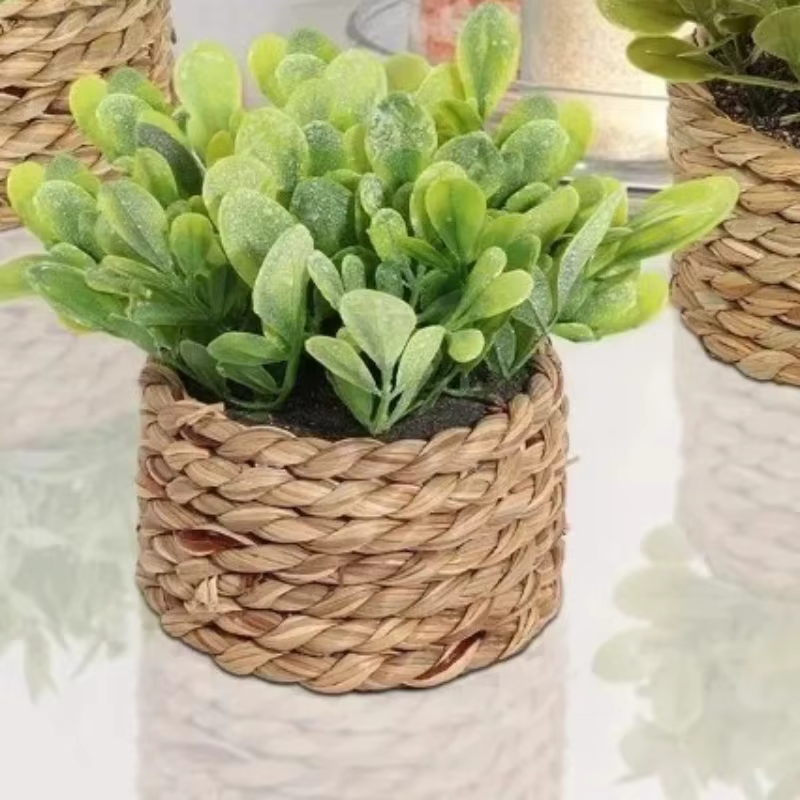 Plante d'eucalyptus artificielle verte de 11 cm – Petite