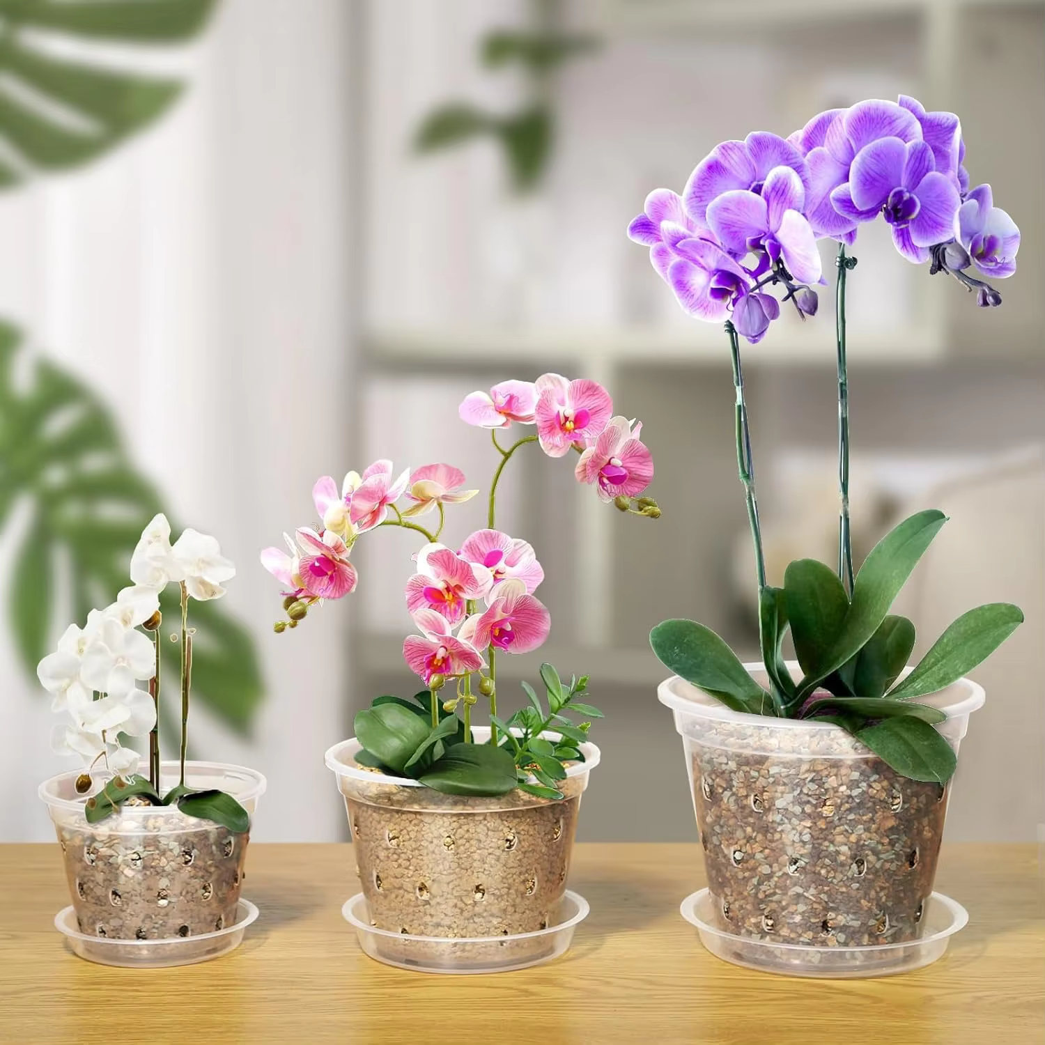 Pot d'orchidée Transparent 4/5/6/7 pouces
