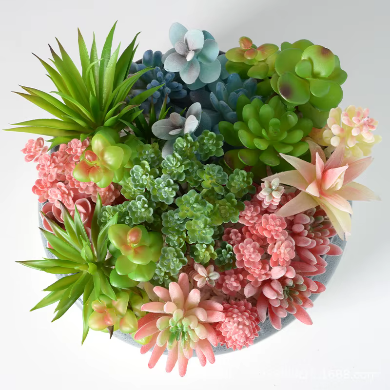Diverses plantes succulentes artificielles tropicales