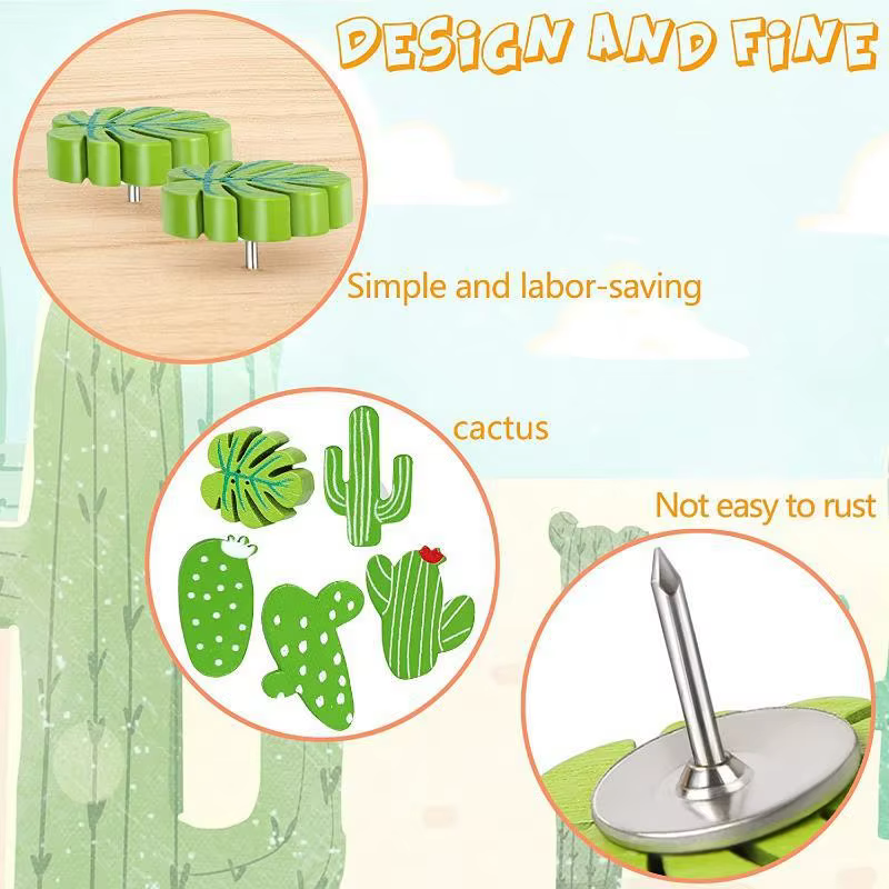 Punaises en bois pour plantes et Cactus