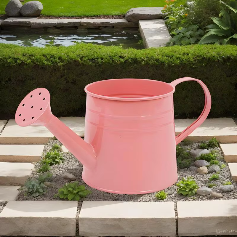 Petit arrosoir pour plantes d'intérieur