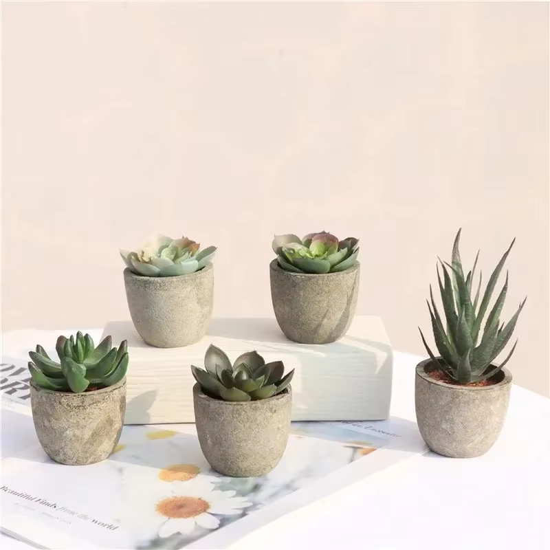 Mini plantes artificielles à l'aloe vera