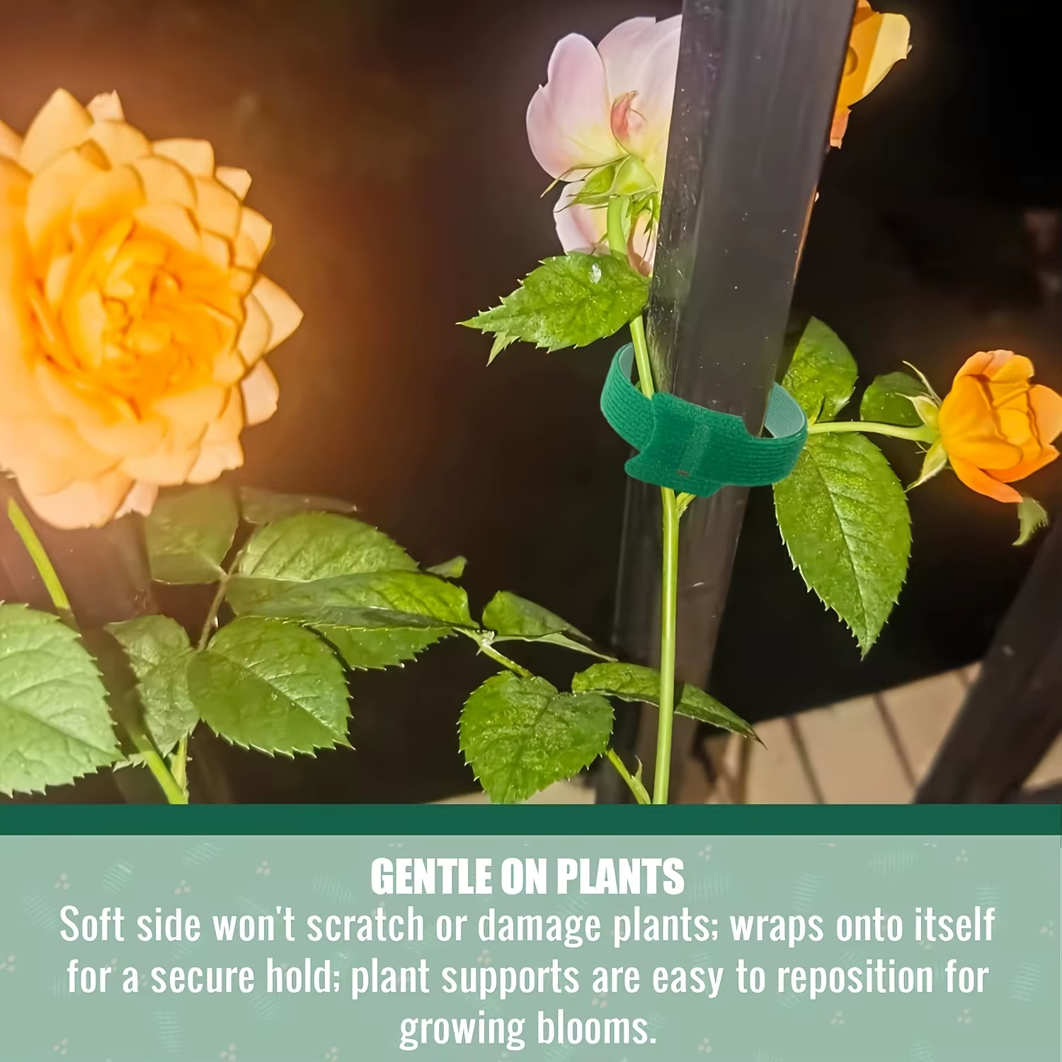 Attaches réutilisables pour plantes en Nylon antidérapantes