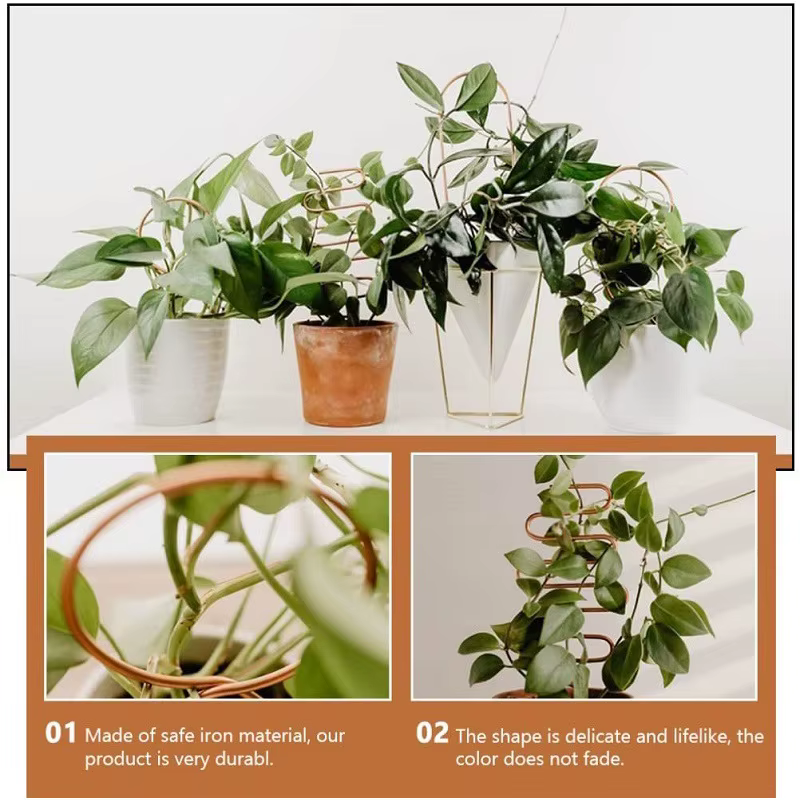 Support d'escalade de tige de plante