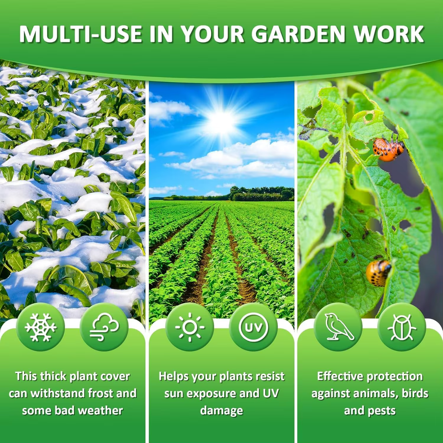 Couverture de Protection pour plantes d'hiver
