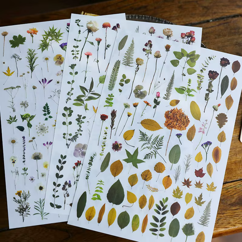 Plante feuilles fleur frotter sur autocollants esthétique Scrapbooking Journal déco transfert autocollant Album