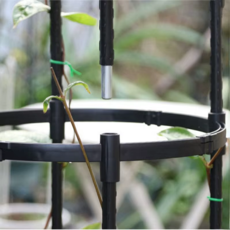 Cadre de Support pour Plantes Grimpantes en Treillis
