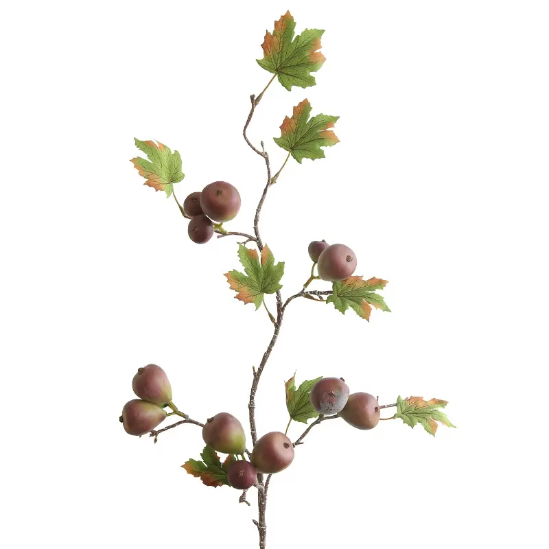 Simulation de branche de baies