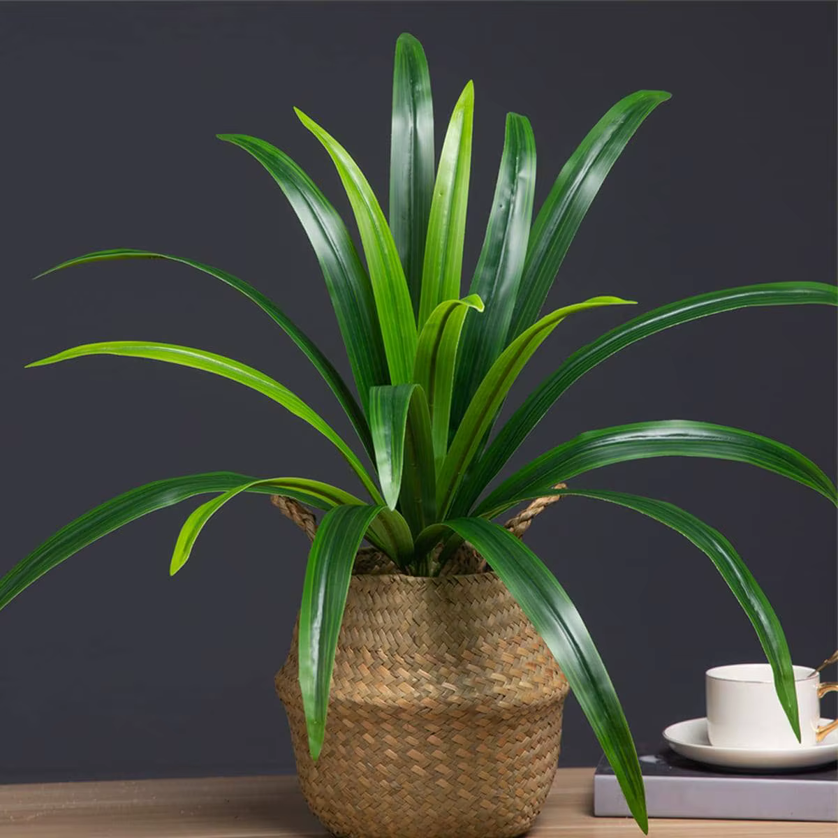 Plantes de Magnolia artificielles 50-65cm