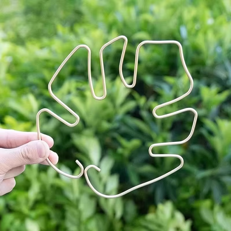 Support de tige de plante à usage intérieur et extérieur