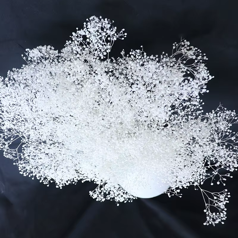 Pouvez-vous psophila Naturelle pour Décoration de ixIntérieure